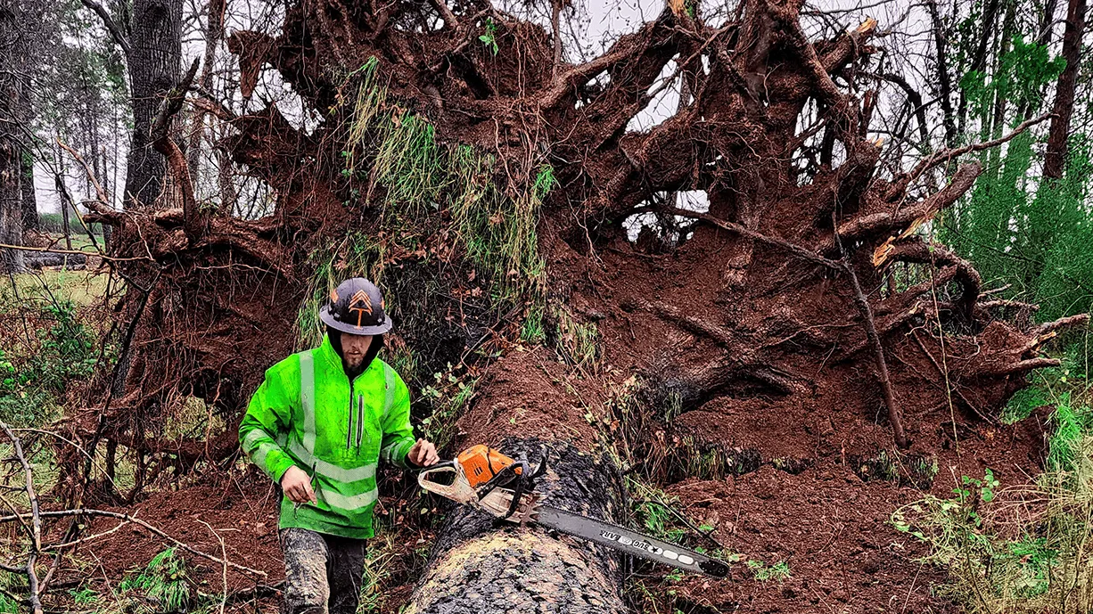 Emergency storm damage cleanup in Chico CA