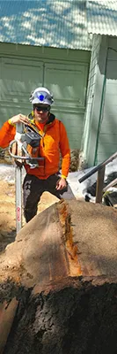 Worker cutting large log