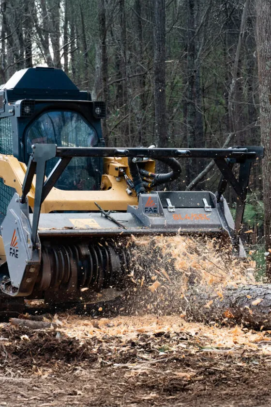 Worker trimming palm tree