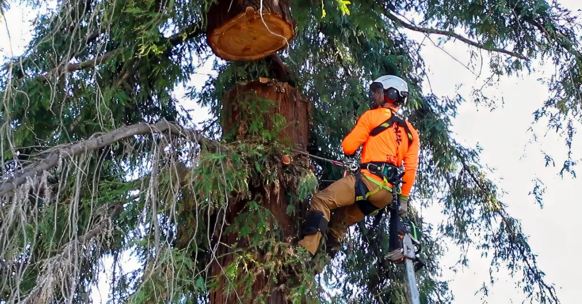 Over The Top Tree Service team safely clearing storm debris in a residential area.