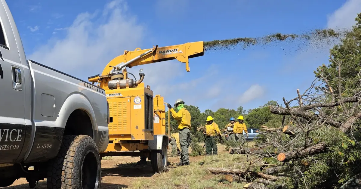 Skid steer land clearing on a Chico, CA property by Over The Top Tree Service